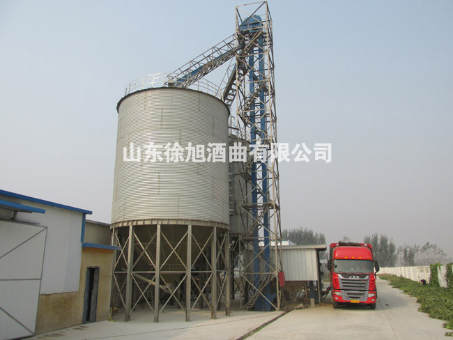 山東芝麻香型酒曲