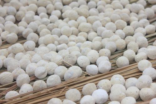 山東芝麻香型酒曲 山東芝麻香型酒曲